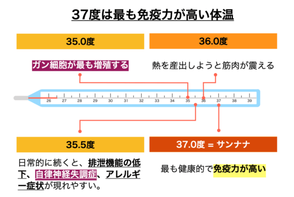 科学的に可視化して基礎体温を上げる 免疫と体温 あなただけの時間と空間 サンナナサロン