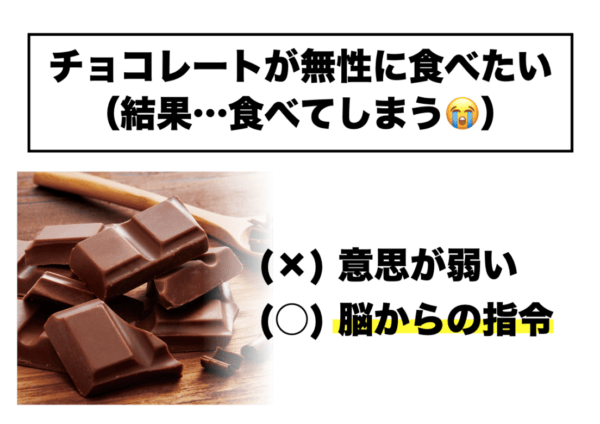 チョコレートが無性に食べたくなってしまうのは意思が弱いからではなくて身体からのサインに従っているだけだということを示す図