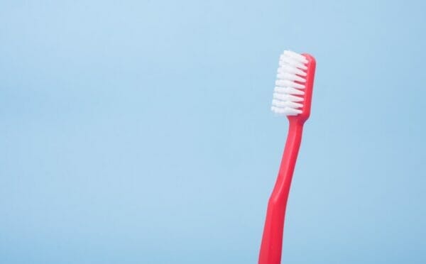 日焼け止めクリームと肝臓の働きの関係性に似ている歯ブラシのイメージ